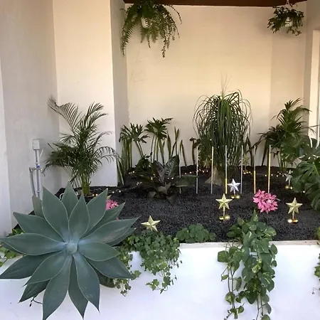 Apartment Relax And Calm In The Sea By Deihu Experiences *