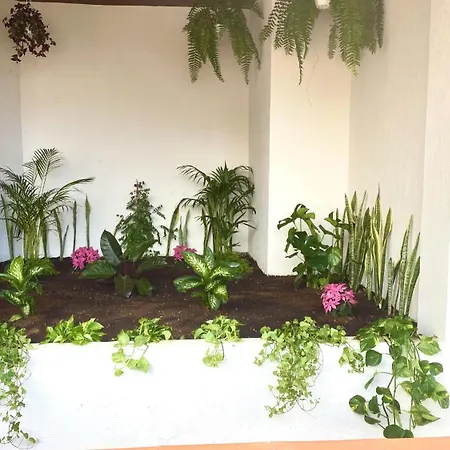 Relax And Calm In The Sea By Deihu Experiences Apartment *