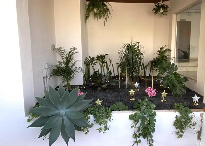 Apartment Relax And Calm In The Sea By Deihu Experiences *