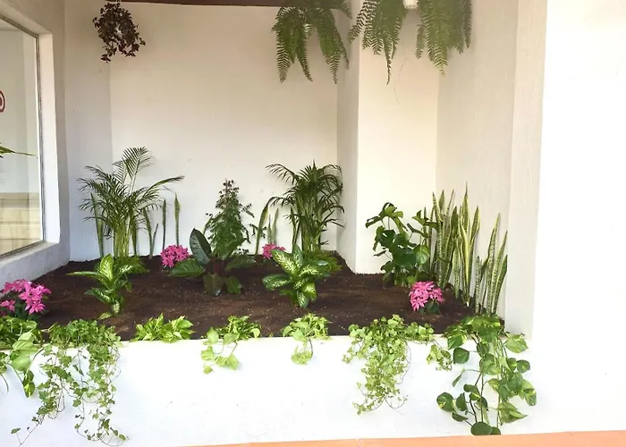 Relax And Calm In The Sea By Deihu Experiences Apartment *